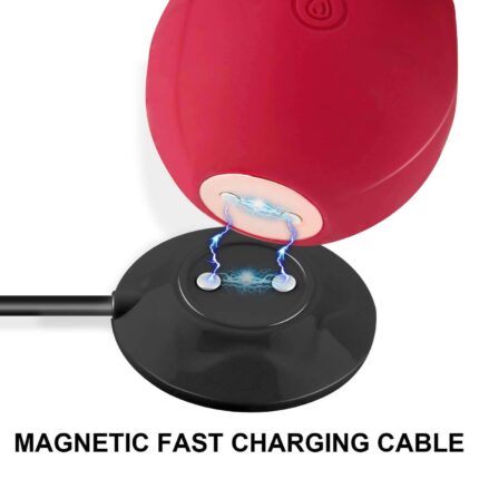 Rose MagDock Noir — Black USB Charging Station, 2.6ft