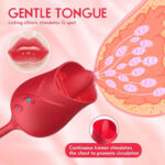 DoubleDip Rose — Twin Sucking Vibrators for Full Coverage - Image 12