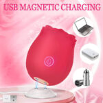 V2 App Rose — Smart Bluetooth Suction Control - Image 32