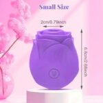 V2 App Rose — Smart Bluetooth Suction Control - Image 42