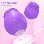 V2 App Rose — Smart Bluetooth Suction Control - Image 43