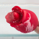 EggLick Rose — Tongue Licker + Remote Egg Vibrator - Image 8