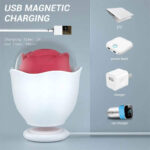 Turbo Suck Rose — Quick Charge, Extended Play - Image 3